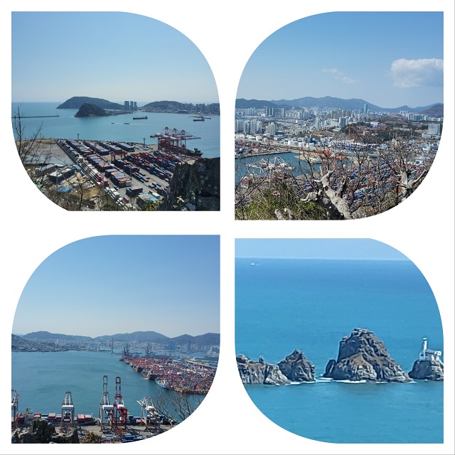 부산항 전경들(신선대 정상)